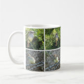 GalápagosのFlycatcher コーヒーマグカップ (左)