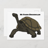 Galapagos land tortoise illustration  ポストカード (正面/裏面)