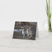 Galapagos Penguin Pair Greeting Card カード (正面)