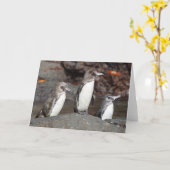 Galapagos Penguins Folded Greeting Card カード (黄色い花)