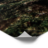 Galápagos Sea Turtle with Sergeant Major Fish ポスター (角)