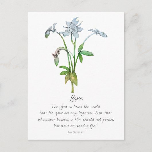 Galatians Fruit of the Spirit Love John 3 16  ポストカード (正面)