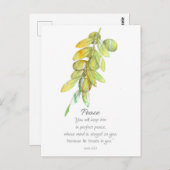 Galatians Fruit of the Spirit Peace Olive Branch ポストカード (正面/裏面)