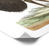 Galeated Cassowary by George Shaw ポスター (角)