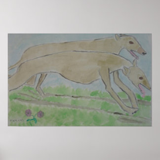 galgo/greyhound ポスター