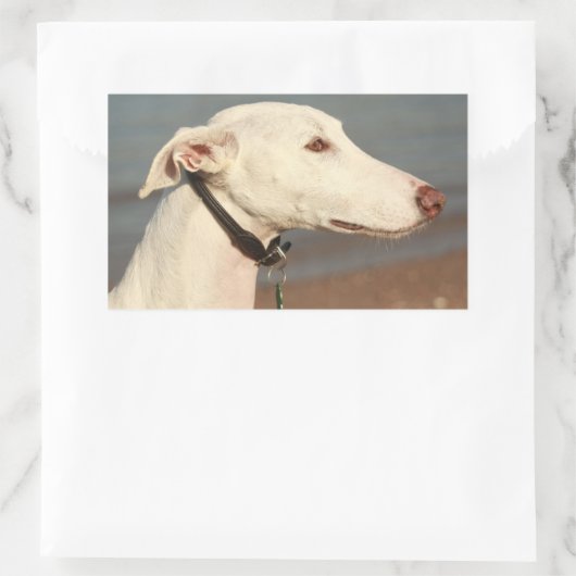 Galgo Windhund 長方形シール (バッグ)