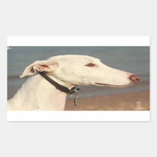 Galgo Windhund 長方形シール