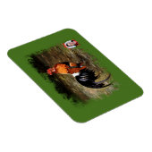 Gallo/Galo/Rooster マグネット (右側)