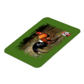 Gallo/Galo/Rooster マグネット (左側)