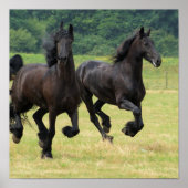 Galloping Friesian Horsesポスター ポスター (正面)