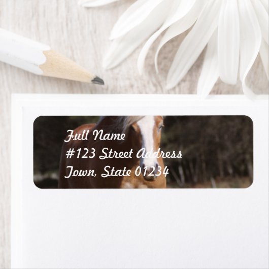 Galloping Palomino宛名ラベル ラベル (インサイチュ)