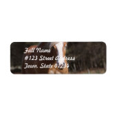 Galloping Palomino宛名ラベル ラベル (正面)