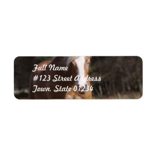 Galloping Palomino宛名ラベル ラベル