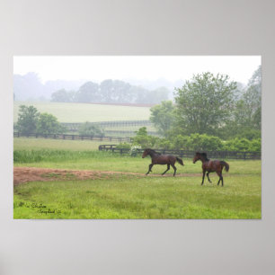 Galloping Standardbred Horsesポスター ポスター