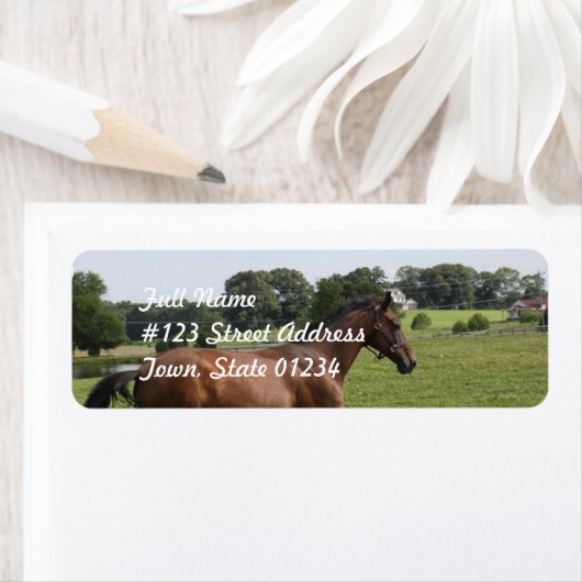 Galloping Thoroughbred宛名ラベル ラベル (インサイチュ)