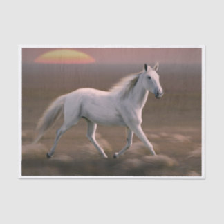 Galloping White Horse 薄葉紙