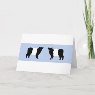 Galloway calf brthday card サンキューカード