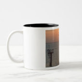 Galveston湾の日没の鳥 ツートーンマグカップ (左)