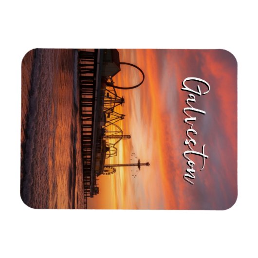 Galveston Texas マグネット (横)