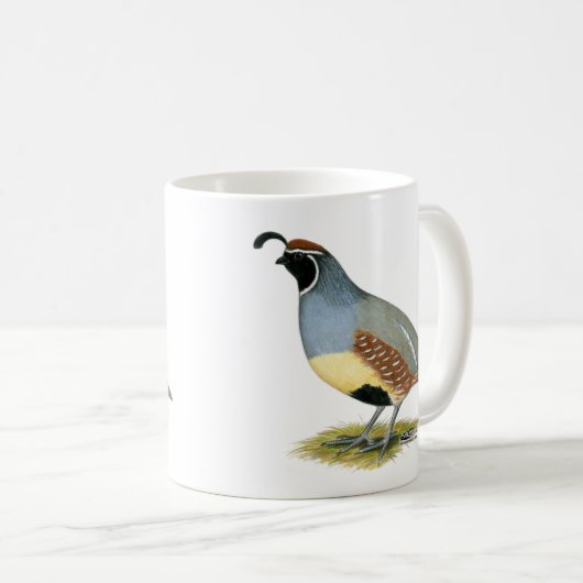 Gambelの砂漠のウズラ コーヒーマグカップ (正面右)