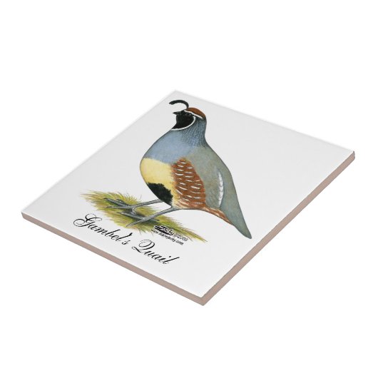 Gambelの砂漠のウズラ タイル (側面)