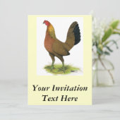 Game Hen：豆で覆われた 招待状 (スタンド正面)