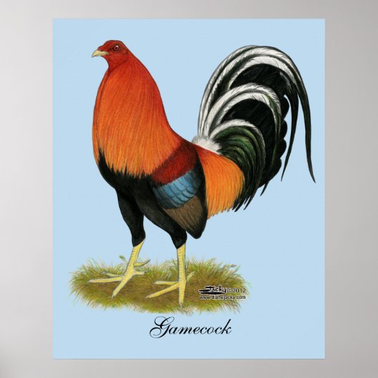 Gamecock Wheaten Rooster ポスター (正面)