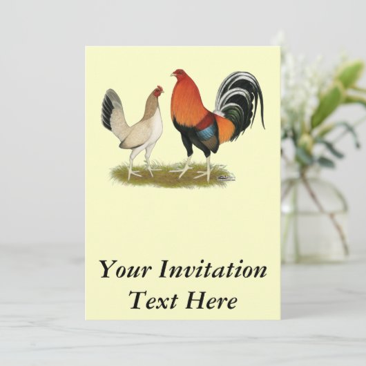 Gamefowl Wheatens 招待状 (スタンド正面)