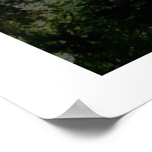 Gan Eden ポスター (角)