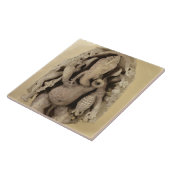 Ganapatiの姿、Chandellaの王朝(砂岩) タイル (側面)