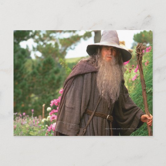 GANDALF™と帽子 ポストカード (正面)