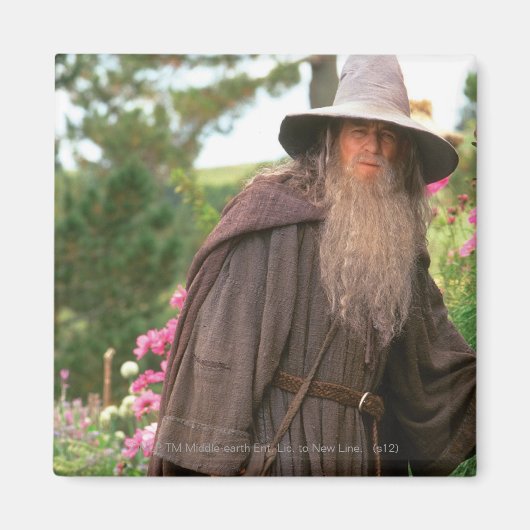 GANDALF™と帽子 マグネット (正面)