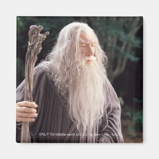 GANDALF™スタンディング マグネット (正面)