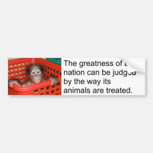 Gandhiの動物の引用文のかわいいベビー バンパーステッカー