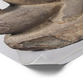 Ganesh, Tuol Pheak Kinより ポスター (角)