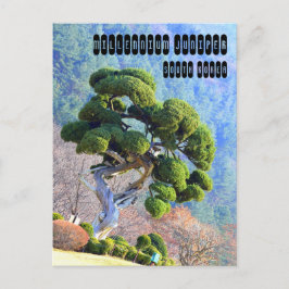Gapyeong Koreaのミレニアムジュニパー ポストカード