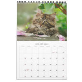 Garden Cats – サイズは中 カレンダー (1月 2027)