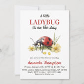 Garden Floral Daisy A Little Ladybug Baby Shower 招待状 (正面)