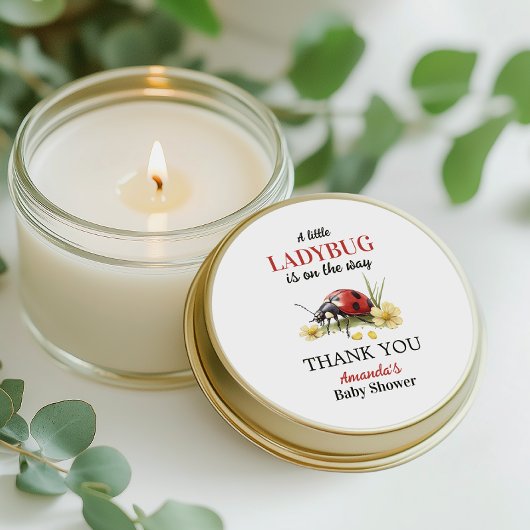 Garden Floral Daisy Little Ladybug Baby Shower ラウンドシール