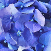 GARDEN FLOWERS 名刺