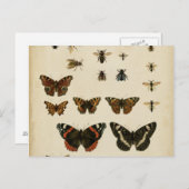 Garden Insects by Vision Studio ポストカード (正面/裏面)