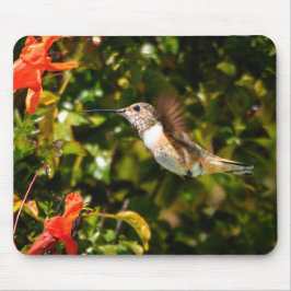 Garden Jewel: Hummingbird in Bloom マウスパッド
