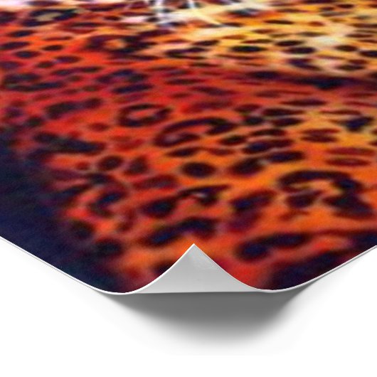 Garden of Modjadji by Lisa Iris ポスター (角)