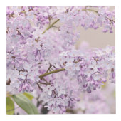 Garden on a Box フォトキューブ (右)