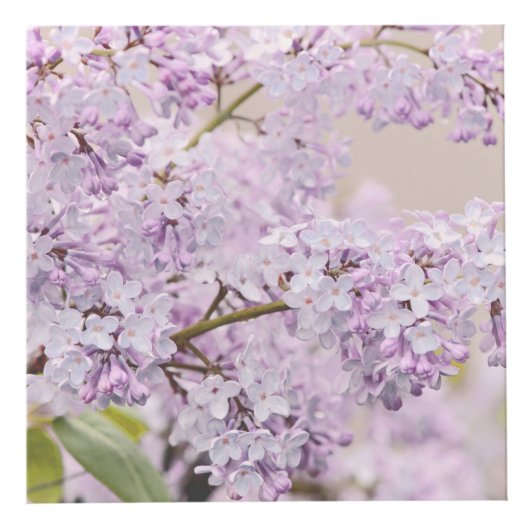 Garden on a Box フォトキューブ (右)