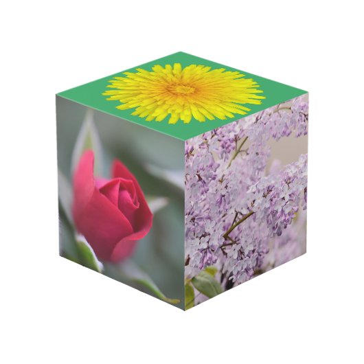 Garden on a Box フォトキューブ (正面アングル)