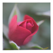 Garden on a Box フォトキューブ (正面)