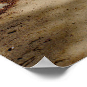 Garden Pathway Wooden Bridge Lush Greenery ポスター (角)