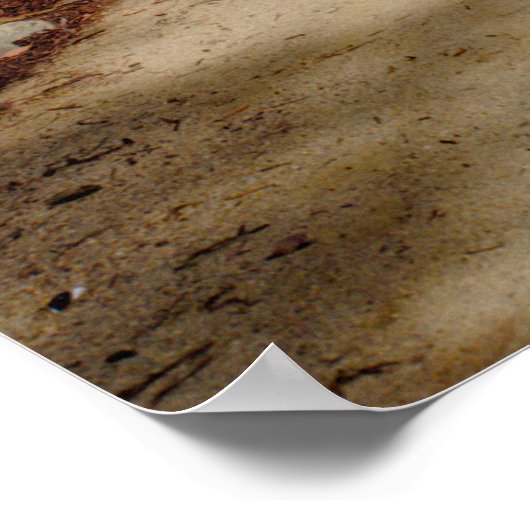 Garden Pathway Wooden Bridge Lush Greenery ポスター (角)