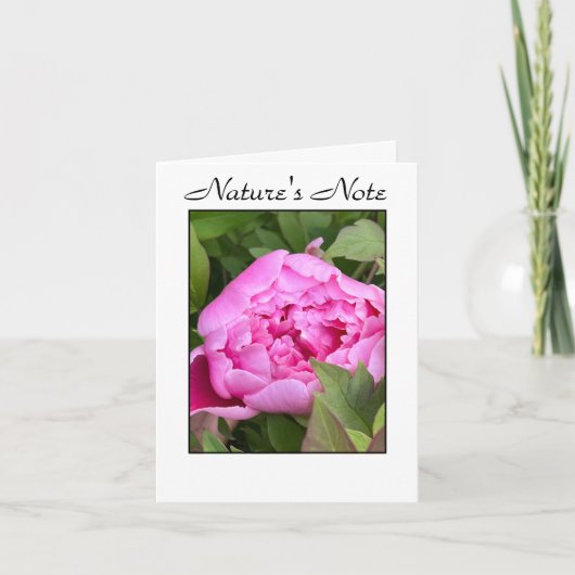 GARDEN PEONY PHOTO FLORAL NOTE CARD ノートカード (正面)